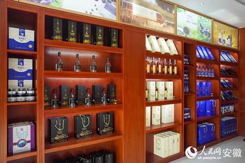 新征程江淮行｜安徽懷寧 勾勒“莓”好藍(lán)圖，科技助力鄉(xiāng)村振興